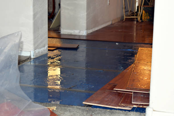 Professional Basement Flood Cleanup technician working in Bellevue, IA